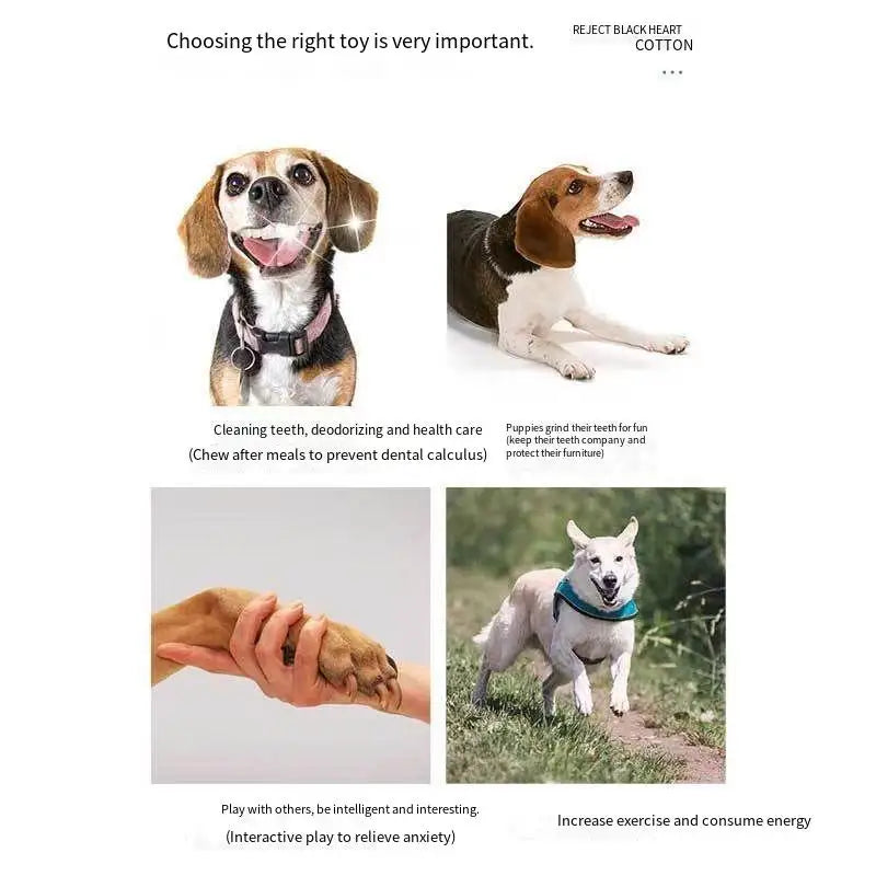 Jouet pour chien en corde de coton tressée – jouet à mâcher, corde à nœuds avec balle, accessoire de mastication et de jeu pour animaux.