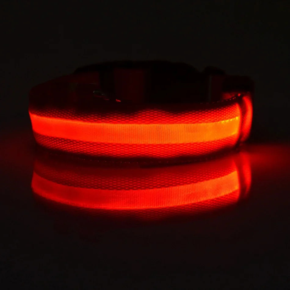 Laisse et collier pour chien en nylon avec LED – lumineux et fluorescent, sécurité de nuit avec effet lumineux dans l’obscurité.