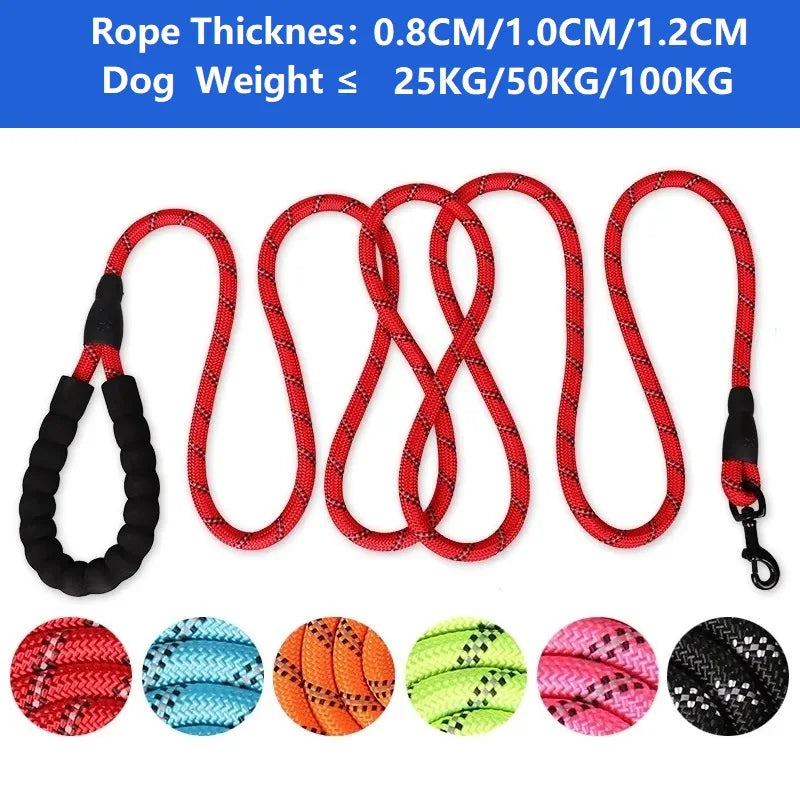 Laisse solide pour chien – renforcée avec poignée souple, 120 à 300 cm