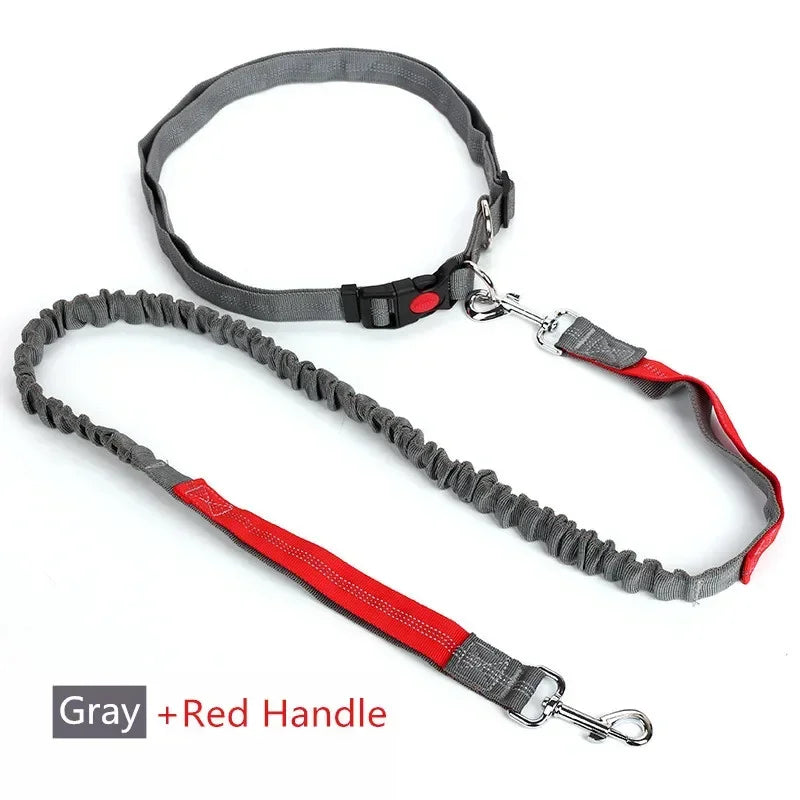 Hands-Free Dog Leash – Retractable Waist Belt for Running & Jogging