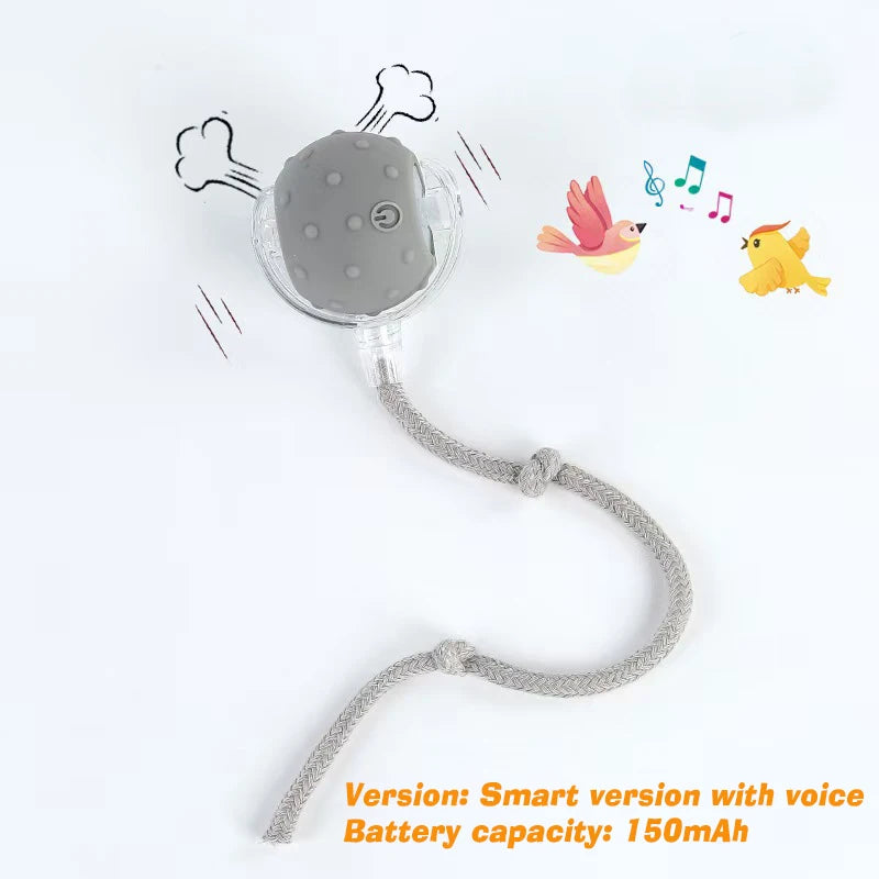Nouveau jouet interactif pour chien – Balle automatique rechargeable, jouet intelligent pour chiots, balle interactive intelligente pour chiens.