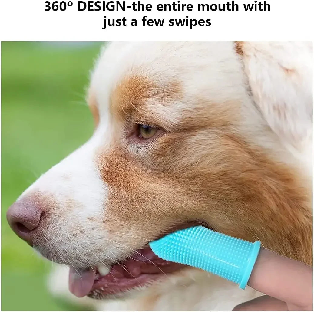 Brosse à dents en silicone pour chien et chat – brosse à doigt souple