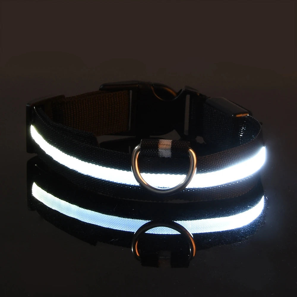 LED Dog Leash & Collar – Glow in the Dark Safety Set for Night Walks