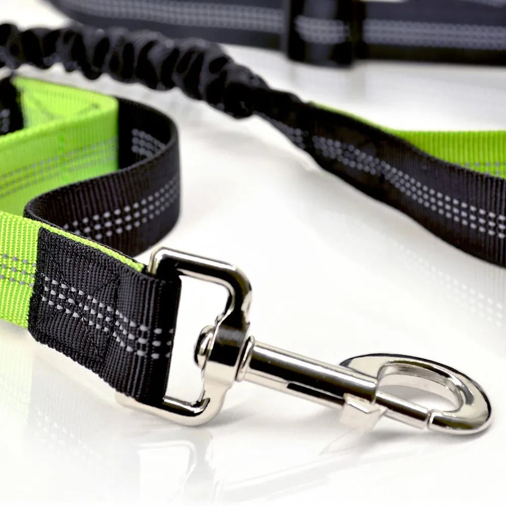 Hands-Free Dog Leash – Retractable Waist Belt for Running & Jogging