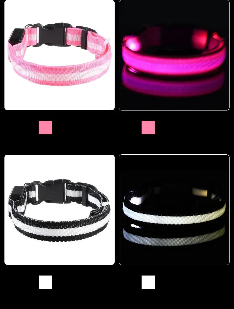 Laisse et collier pour chien en nylon avec LED – lumineux et fluorescent, sécurité de nuit avec effet lumineux dans l’obscurité.
