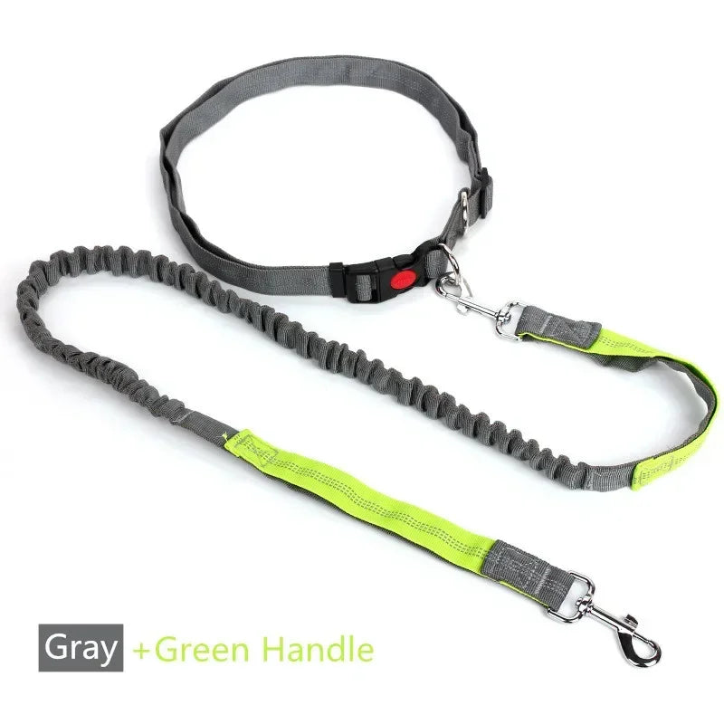 Hands-Free Dog Leash – Retractable Waist Belt for Running & Jogging