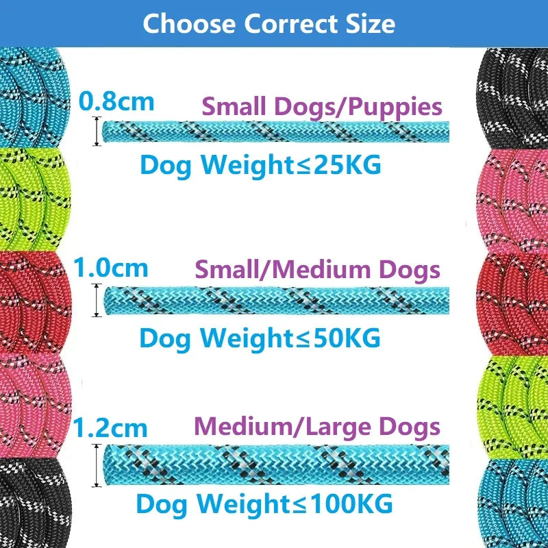 Laisse solide pour chien – renforcée avec poignée souple, 120 à 300 cm