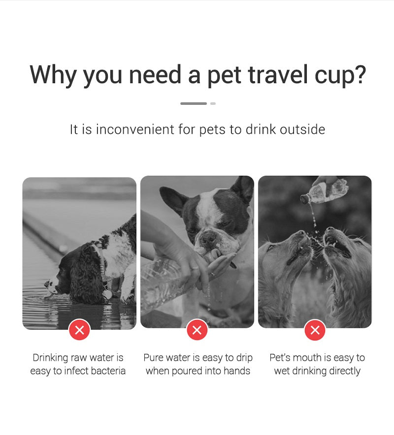 Gourde portable pour chien et chat – bouteille d’eau anti-fuite avec bol intégré