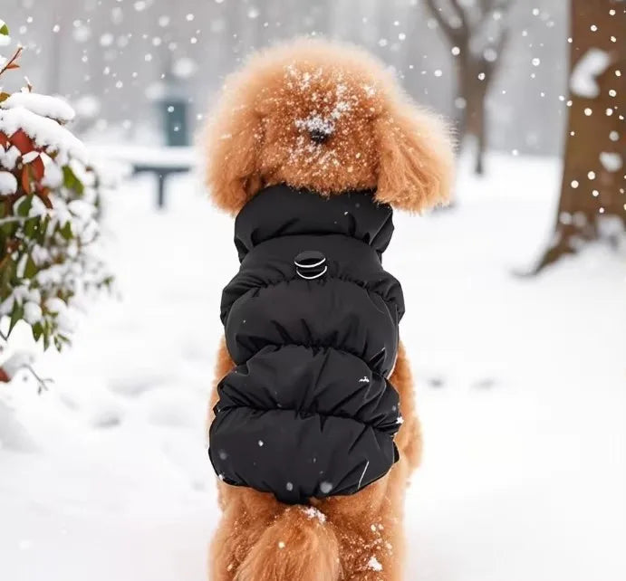 Warm Dog Vest – Soft Turtleneck Coat for Small & Medium Dogs
