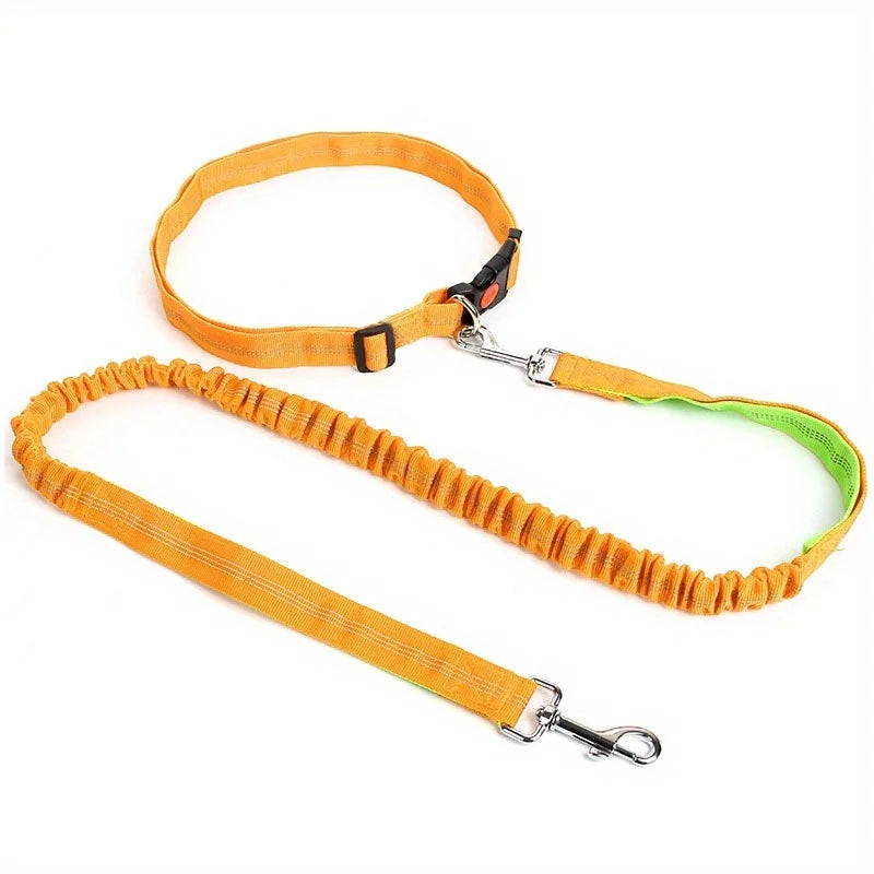 Elastic Dog Leash – Durable Nylon Lead for Running & Walking