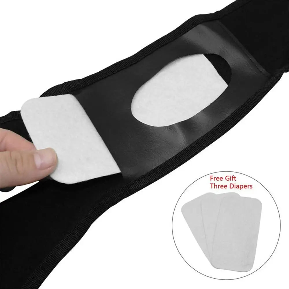 Dog Menstrual Pants – Adjustable Physiological Sanitary Shorts with 3 Diapers