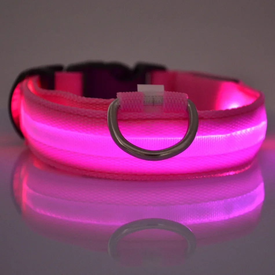 Laisse et collier pour chien en nylon avec LED – lumineux et fluorescent, sécurité de nuit avec effet lumineux dans l’obscurité.
