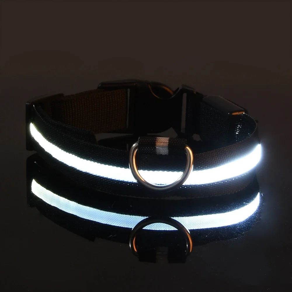 Laisse et collier pour chien en nylon avec LED – lumineux et fluorescent, sécurité de nuit avec effet lumineux dans l’obscurité.