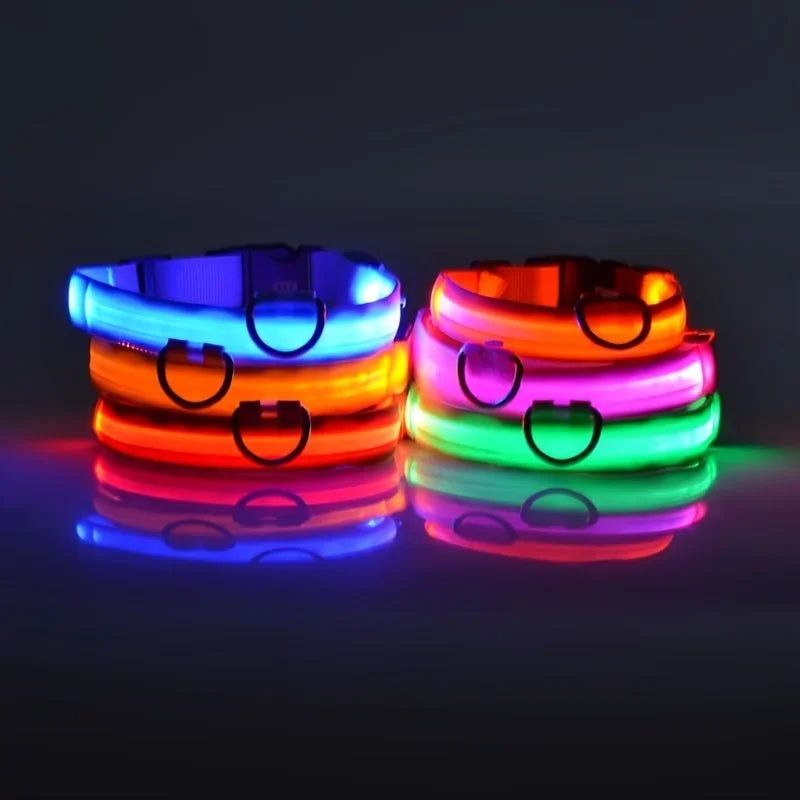Laisse et collier pour chien en nylon avec LED – lumineux et fluorescent, sécurité de nuit avec effet lumineux dans l’obscurité.