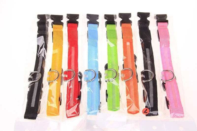Laisse et collier pour chien en nylon avec LED – lumineux et fluorescent, sécurité de nuit avec effet lumineux dans l’obscurité.