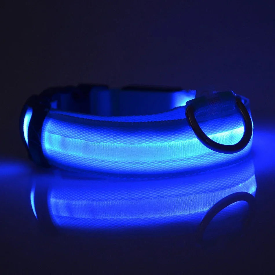 Laisse et collier pour chien en nylon avec LED – lumineux et fluorescent, sécurité de nuit avec effet lumineux dans l’obscurité.