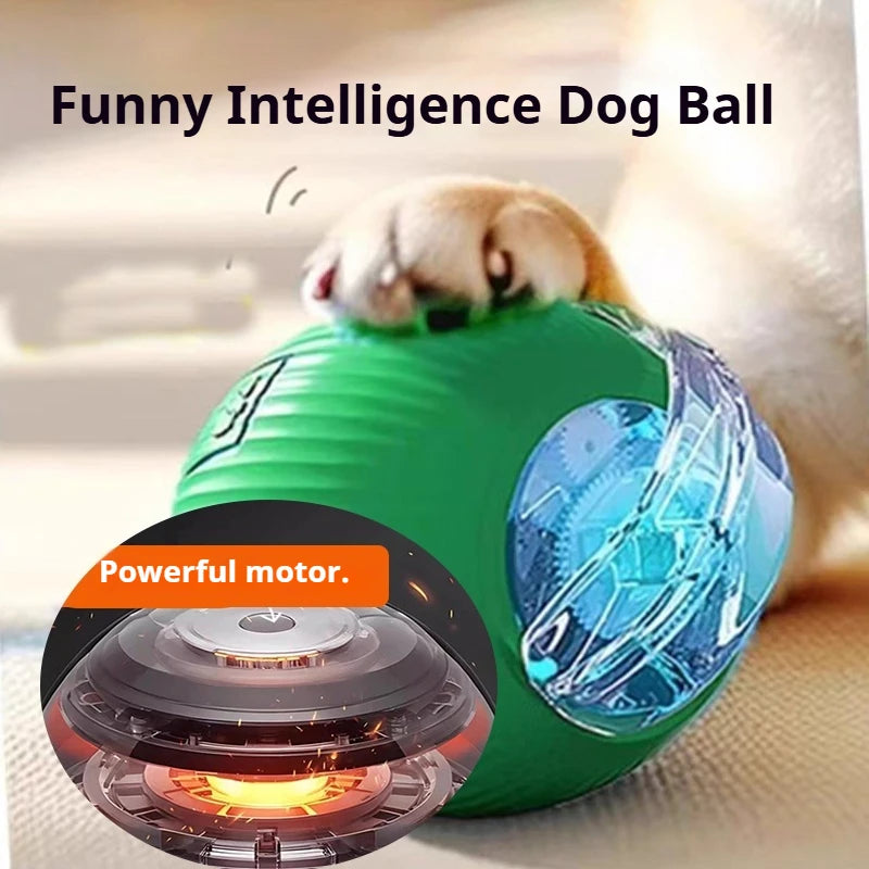 Nouveau jouet interactif pour chien – Balle automatique rechargeable, jouet intelligent pour chiots, balle interactive intelligente pour chiens.