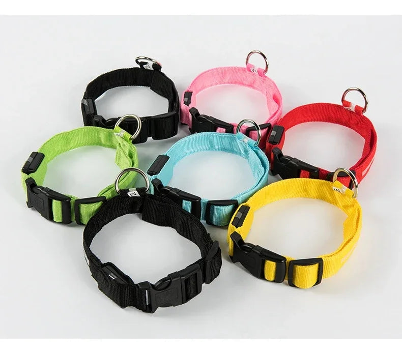 Laisse et collier pour chien en nylon avec LED – lumineux et fluorescent, sécurité de nuit avec effet lumineux dans l’obscurité.