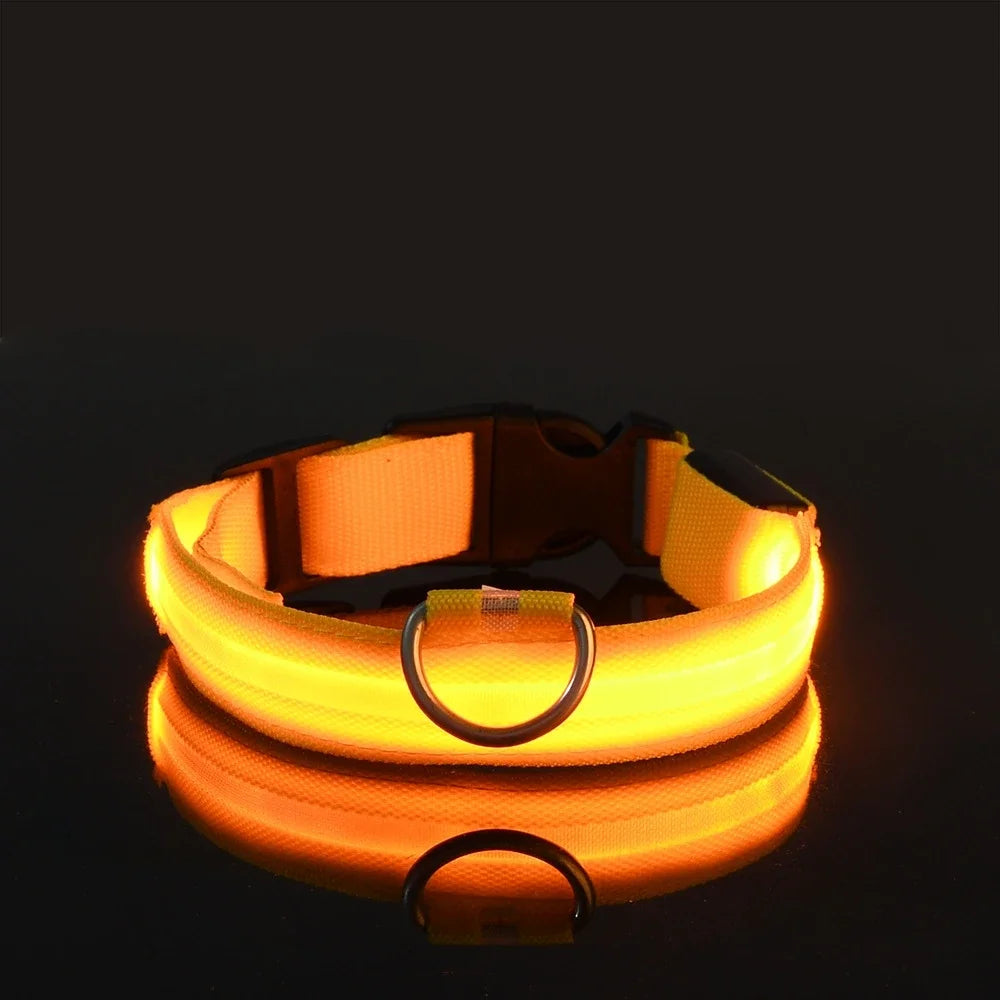 Laisse et collier pour chien en nylon avec LED – lumineux et fluorescent, sécurité de nuit avec effet lumineux dans l’obscurité.