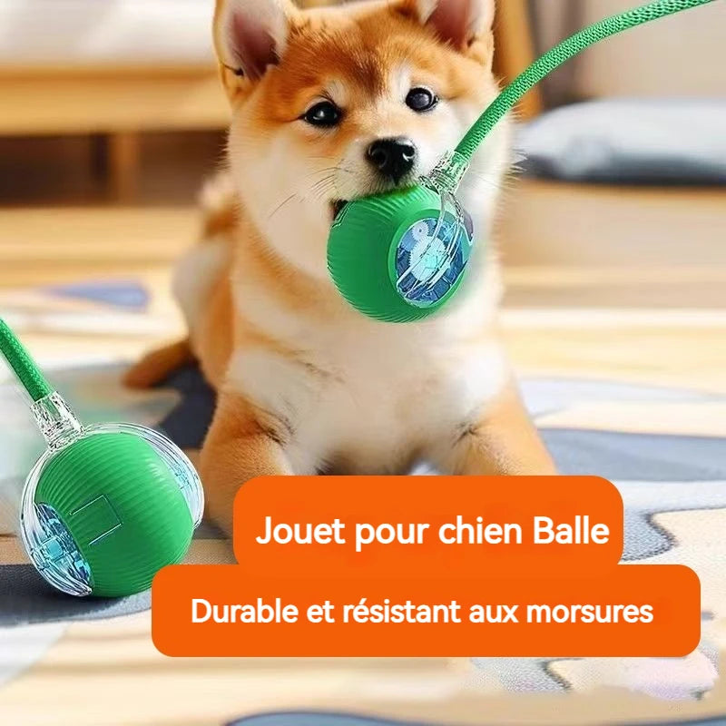Nouveau jouet interactif pour chien – Balle automatique rechargeable, jouet intelligent pour chiots, balle interactive intelligente pour chiens.
