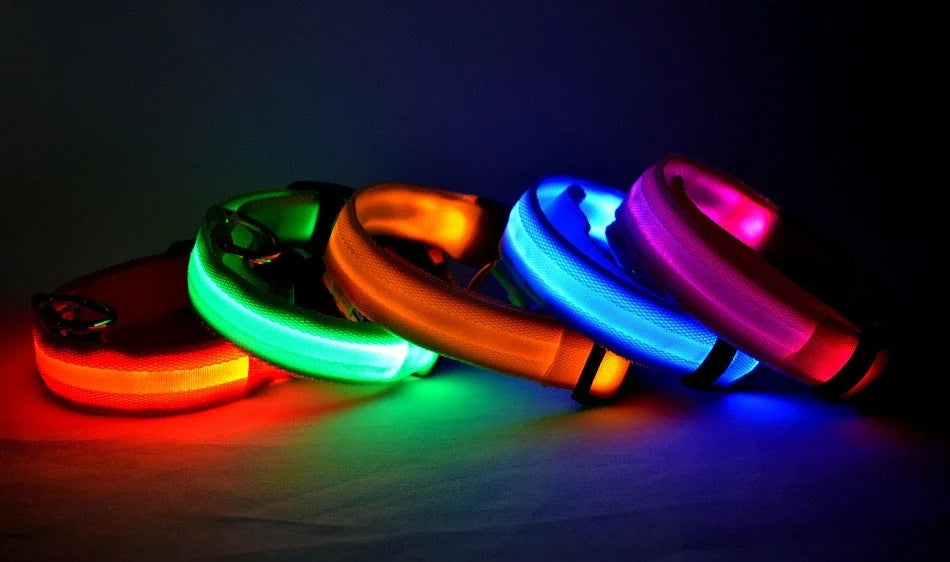 Laisse et collier pour chien en nylon avec LED – lumineux et fluorescent, sécurité de nuit avec effet lumineux dans l’obscurité.