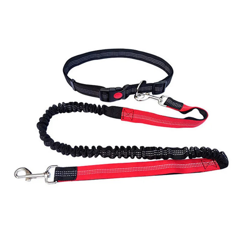 Elastic Dog Leash – Durable Nylon Lead for Running & Walking