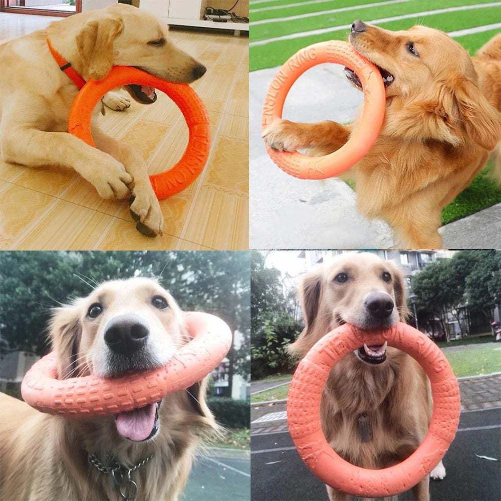 Anneau à mâcher pour chien – jouet résistant, flottant et interactif