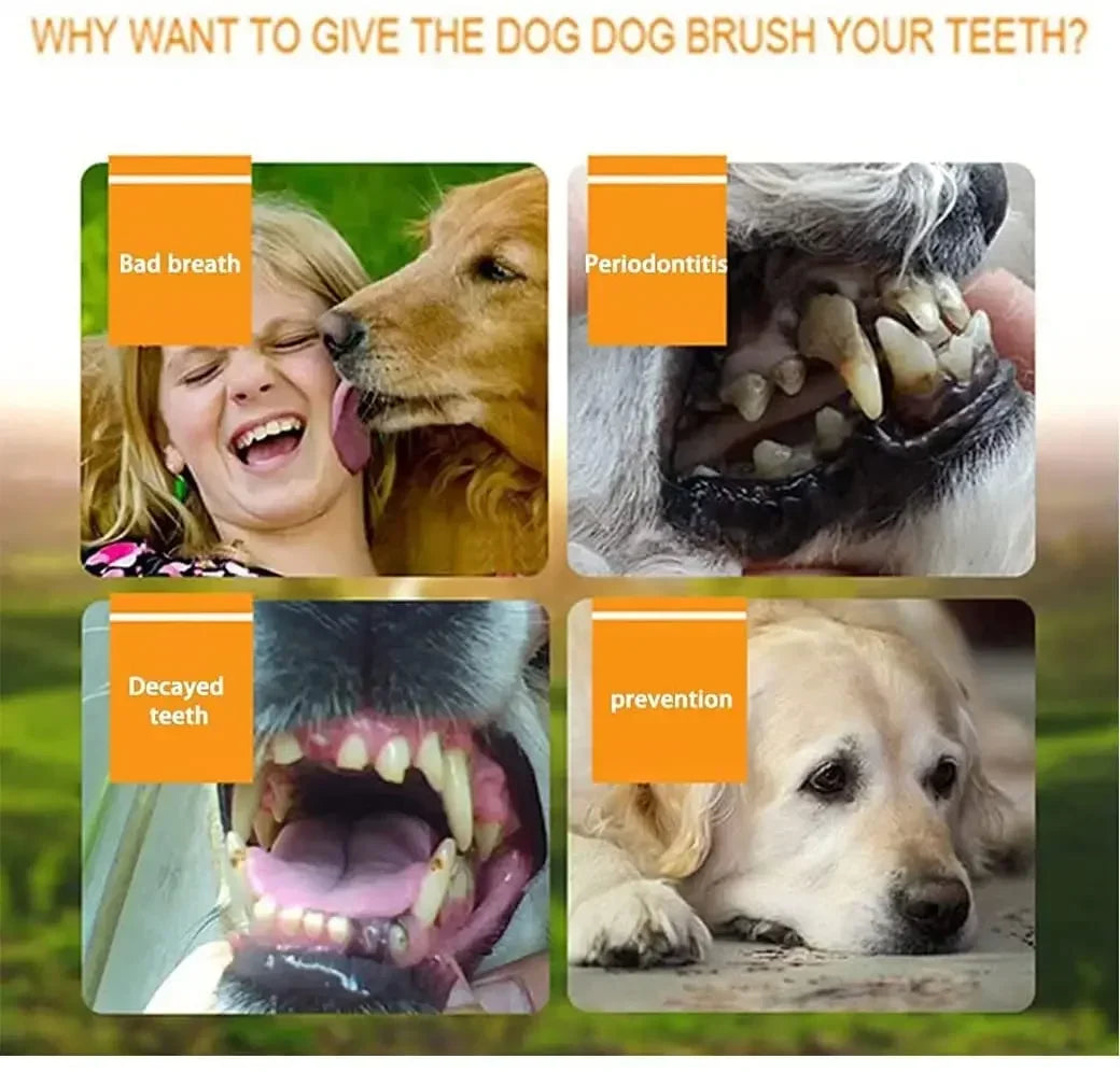 Brosse à dents en silicone pour chien et chat – brosse à doigt souple