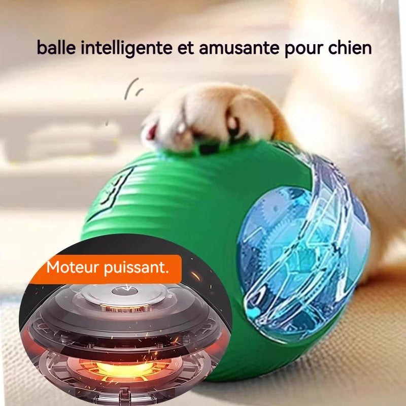 Nouveau jouet interactif pour chien – Balle automatique rechargeable, jouet intelligent pour chiots, balle interactive intelligente pour chiens.