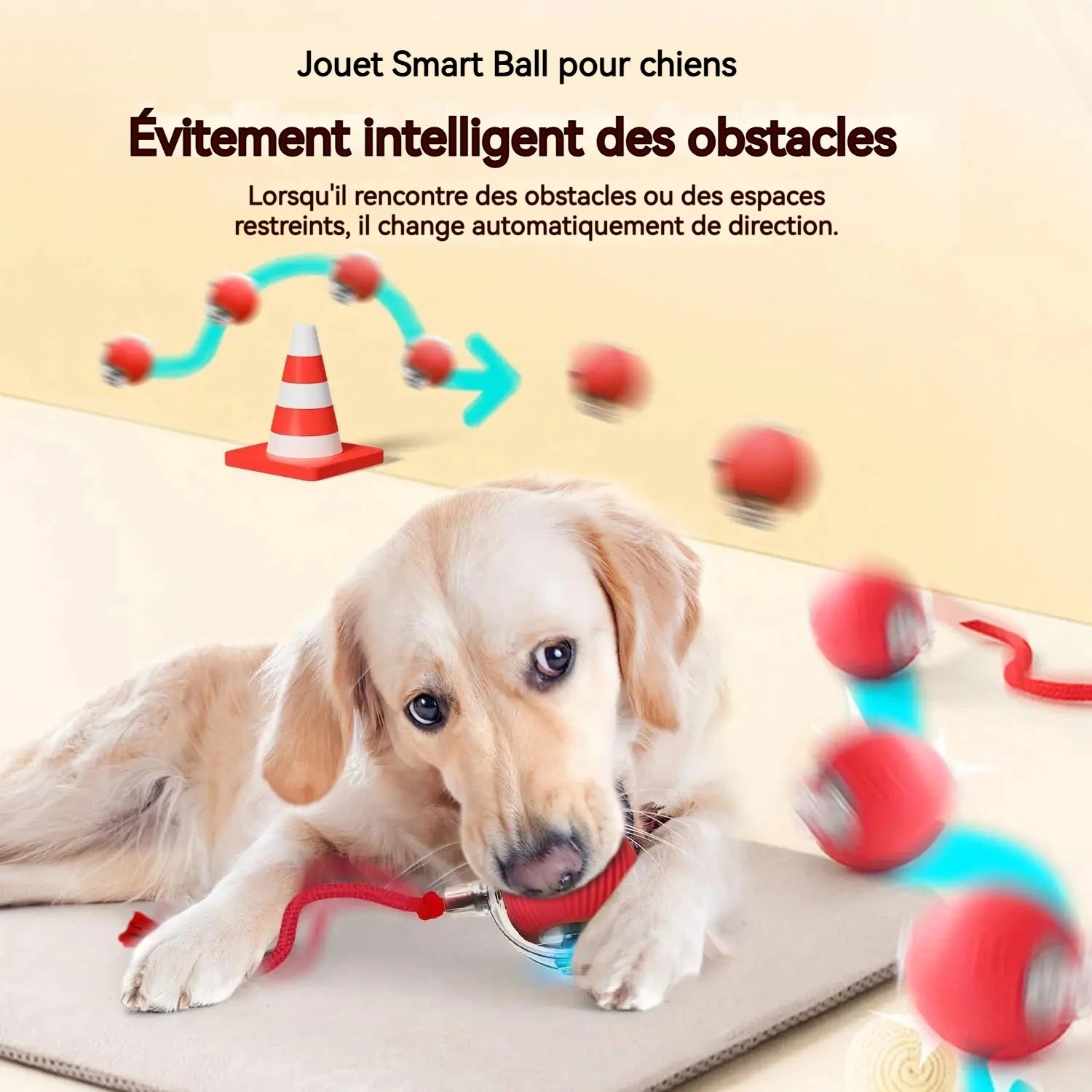 Nouveau jouet interactif pour chien – Balle automatique rechargeable, jouet intelligent pour chiots, balle interactive intelligente pour chiens.