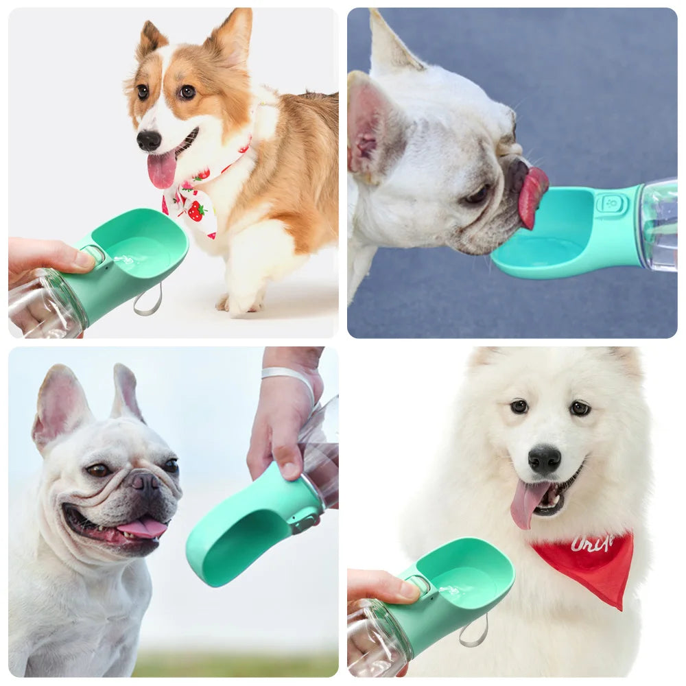 Gourde portable pour chien et chat – bouteille d’eau anti-fuite avec bol intégré