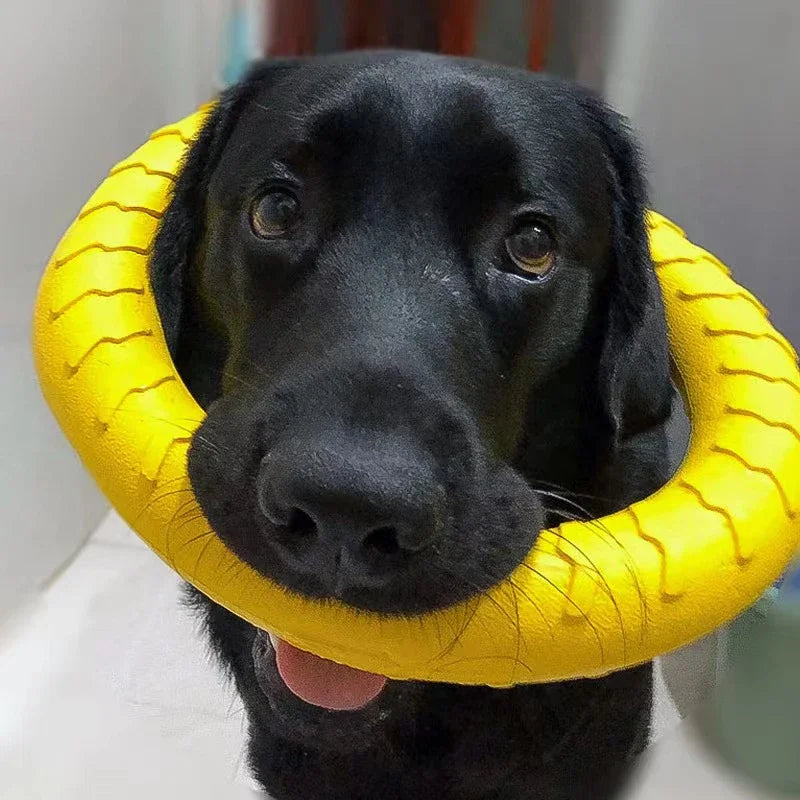 Anneau à mâcher pour chien – jouet résistant, flottant et interactif