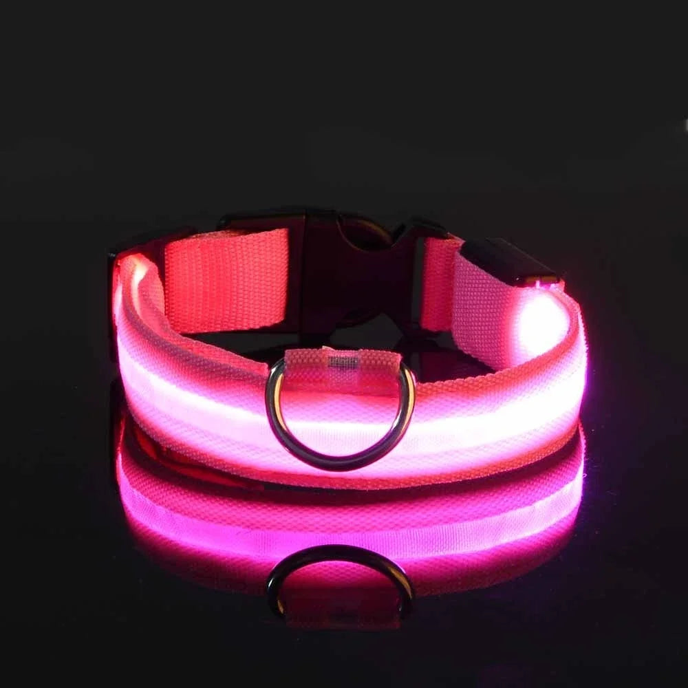 Laisse et collier pour chien en nylon avec LED – lumineux et fluorescent, sécurité de nuit avec effet lumineux dans l’obscurité.