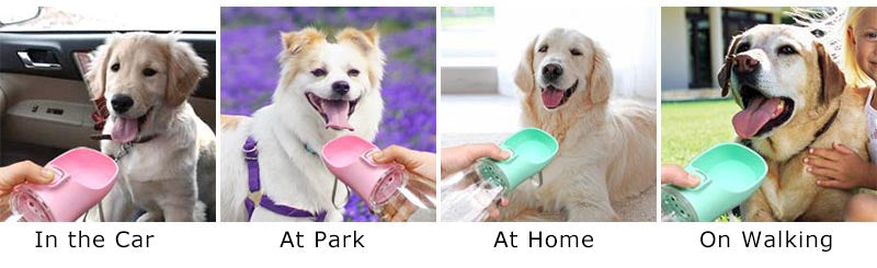 Gourde portable pour chien et chat – bouteille d’eau anti-fuite avec bol intégré