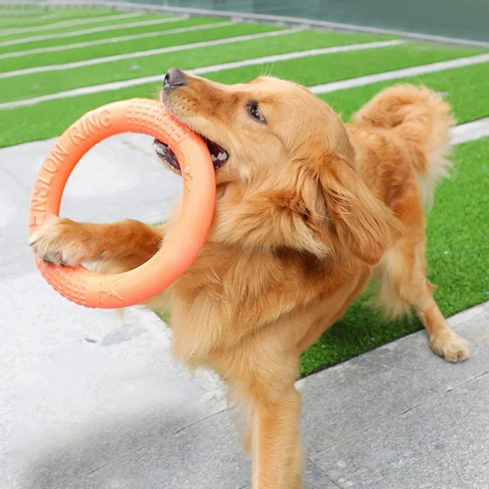 Anneau à mâcher pour chien – jouet résistant, flottant et interactif