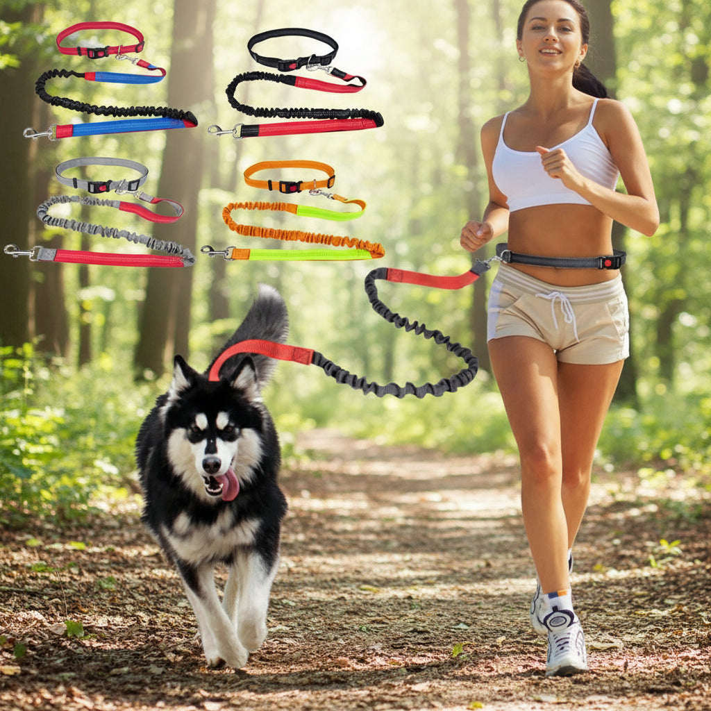 Elastic Dog Leash – Durable Nylon Lead for Running & Walking