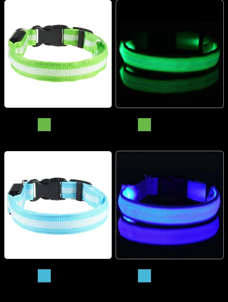 Laisse et collier pour chien en nylon avec LED – lumineux et fluorescent, sécurité de nuit avec effet lumineux dans l’obscurité.