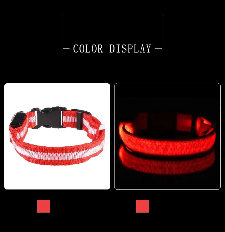 Laisse et collier pour chien en nylon avec LED – lumineux et fluorescent, sécurité de nuit avec effet lumineux dans l’obscurité.