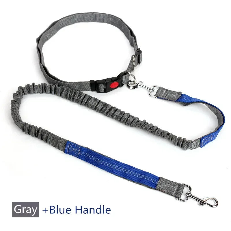 Hands-Free Dog Leash – Retractable Waist Belt for Running & Jogging