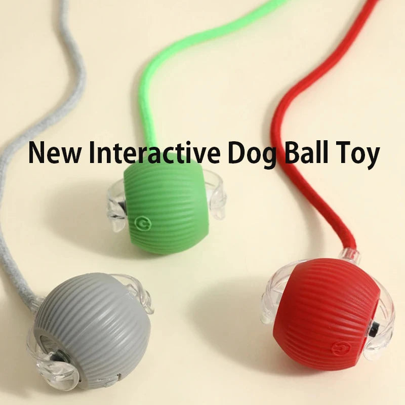 Nouveau jouet interactif pour chien – Balle automatique rechargeable, jouet intelligent pour chiots, balle interactive intelligente pour chiens.