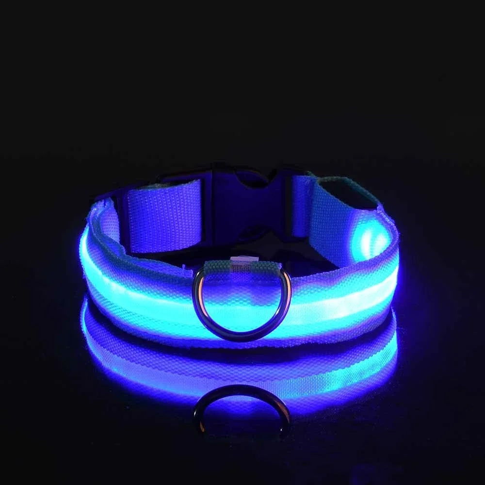 Laisse et collier pour chien en nylon avec LED – lumineux et fluorescent, sécurité de nuit avec effet lumineux dans l’obscurité.
