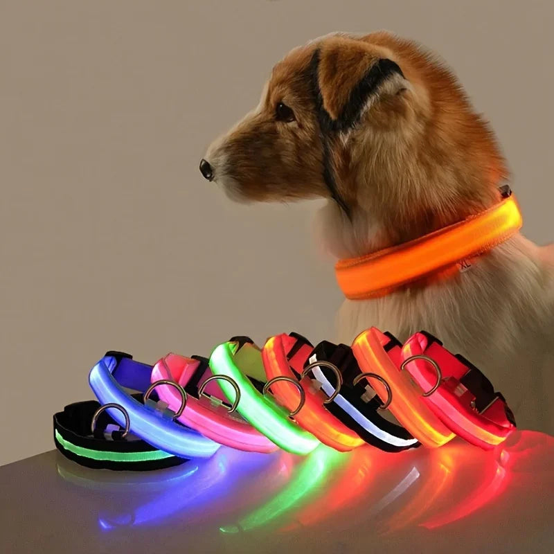 Laisse et collier pour chien en nylon avec LED – lumineux et fluorescent, sécurité de nuit avec effet lumineux dans l’obscurité.