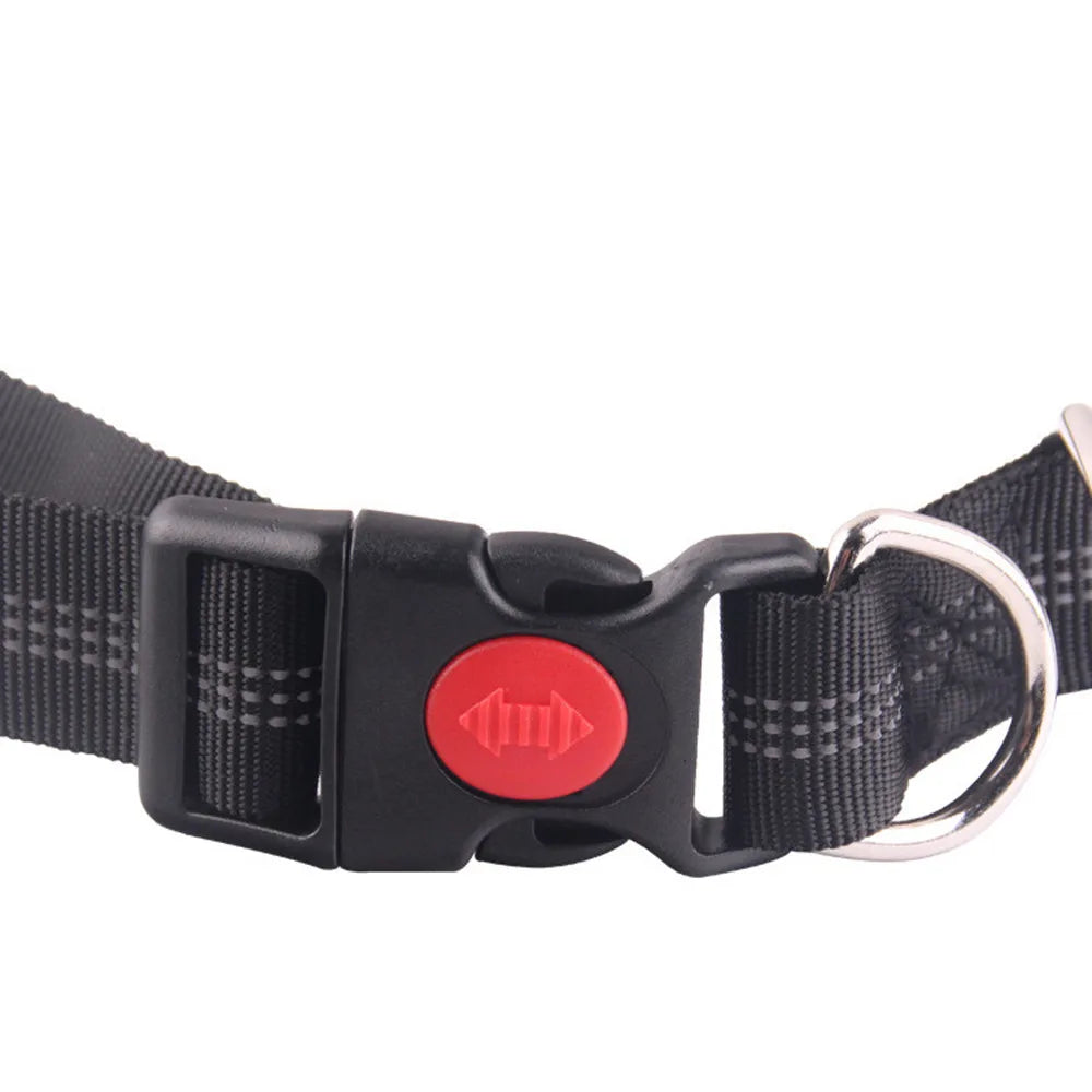 Hands-Free Dog Leash – Retractable Waist Belt for Running & Jogging