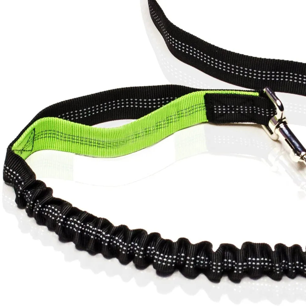 Hands-Free Dog Leash – Retractable Waist Belt for Running & Jogging