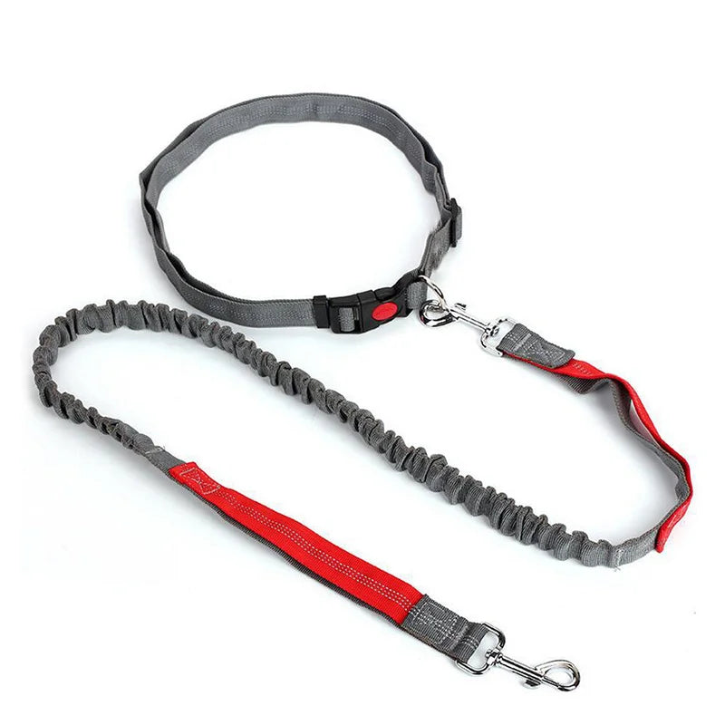 Elastic Dog Leash – Durable Nylon Lead for Running & Walking
