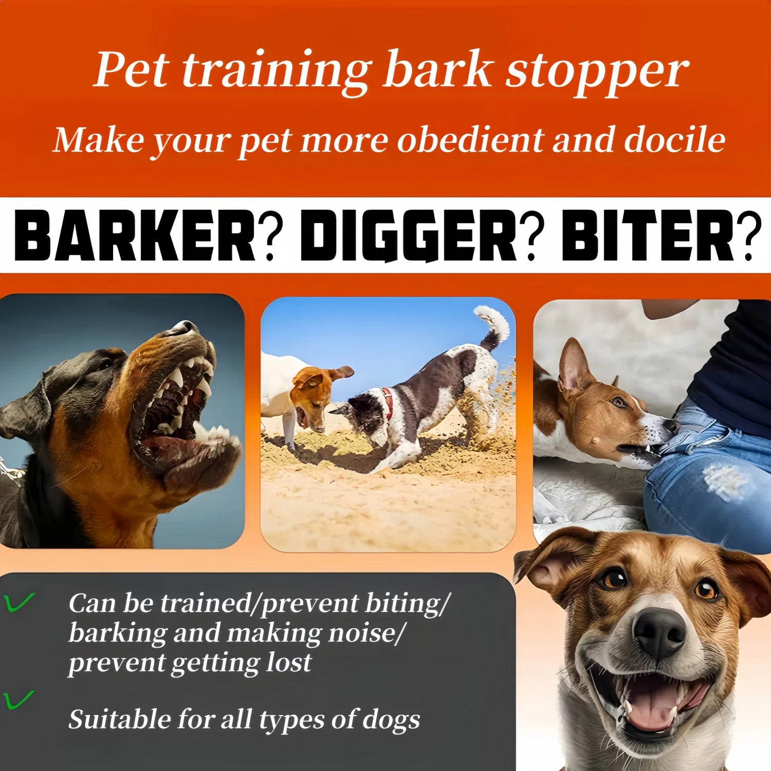 Collier de dressage électrique pour chiens – collier anti-aboiement étanche avec télécommande, rechargeable, adapté à toutes tailles de chiens.
