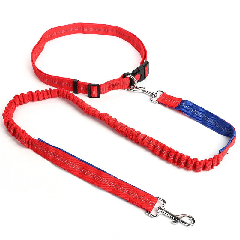 Elastic Dog Leash – Durable Nylon Lead for Running & Walking