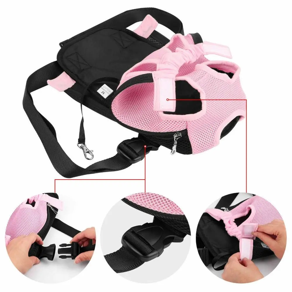 Sac à dos de transport pour chien et chat – confortable et réglable pour voyage