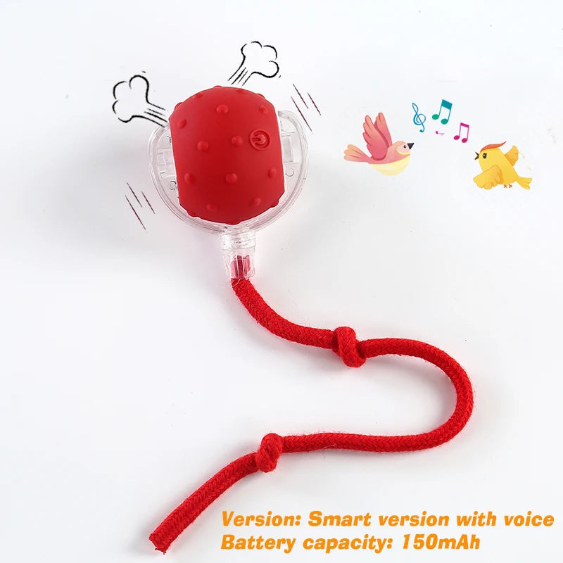 Nouveau jouet interactif pour chien – Balle automatique rechargeable, jouet intelligent pour chiots, balle interactive intelligente pour chiens.