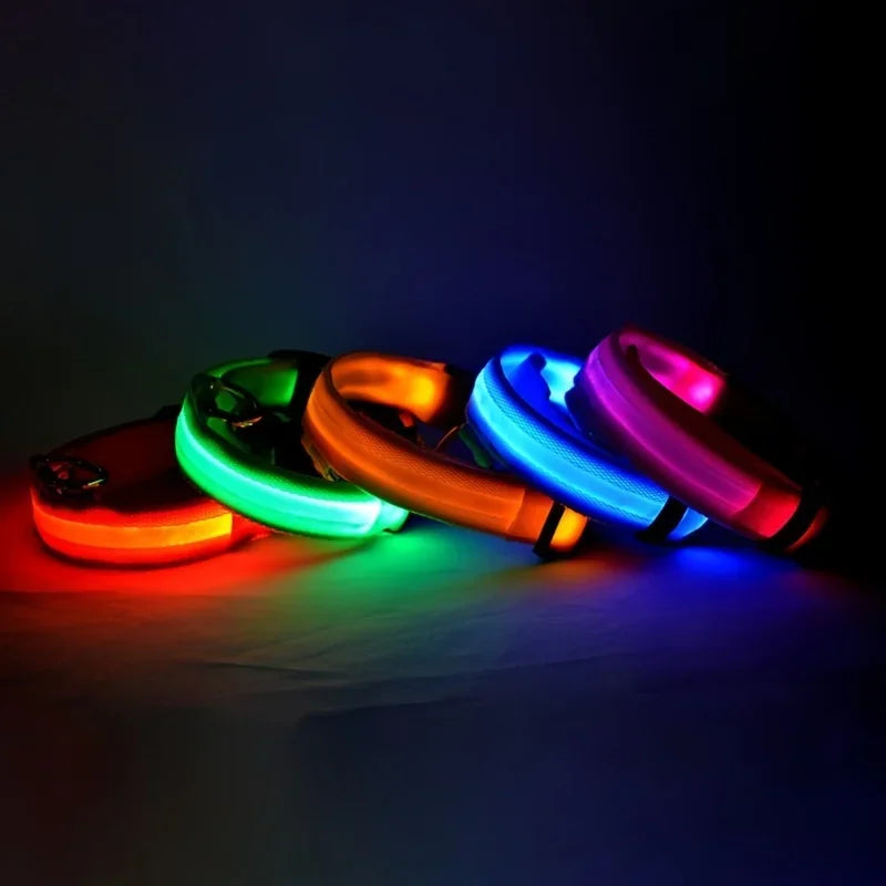 Laisse et collier pour chien en nylon avec LED – lumineux et fluorescent, sécurité de nuit avec effet lumineux dans l’obscurité.